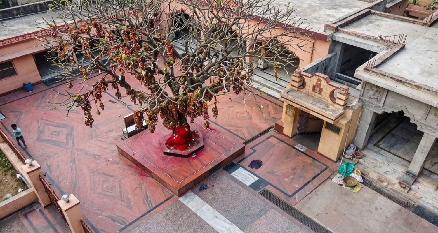 Maa Bargabhima Temple