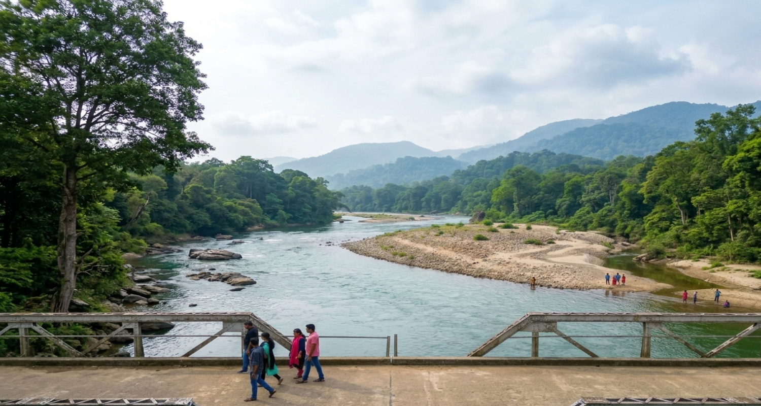 Nedumkayam Rainforest ( Nilambur )