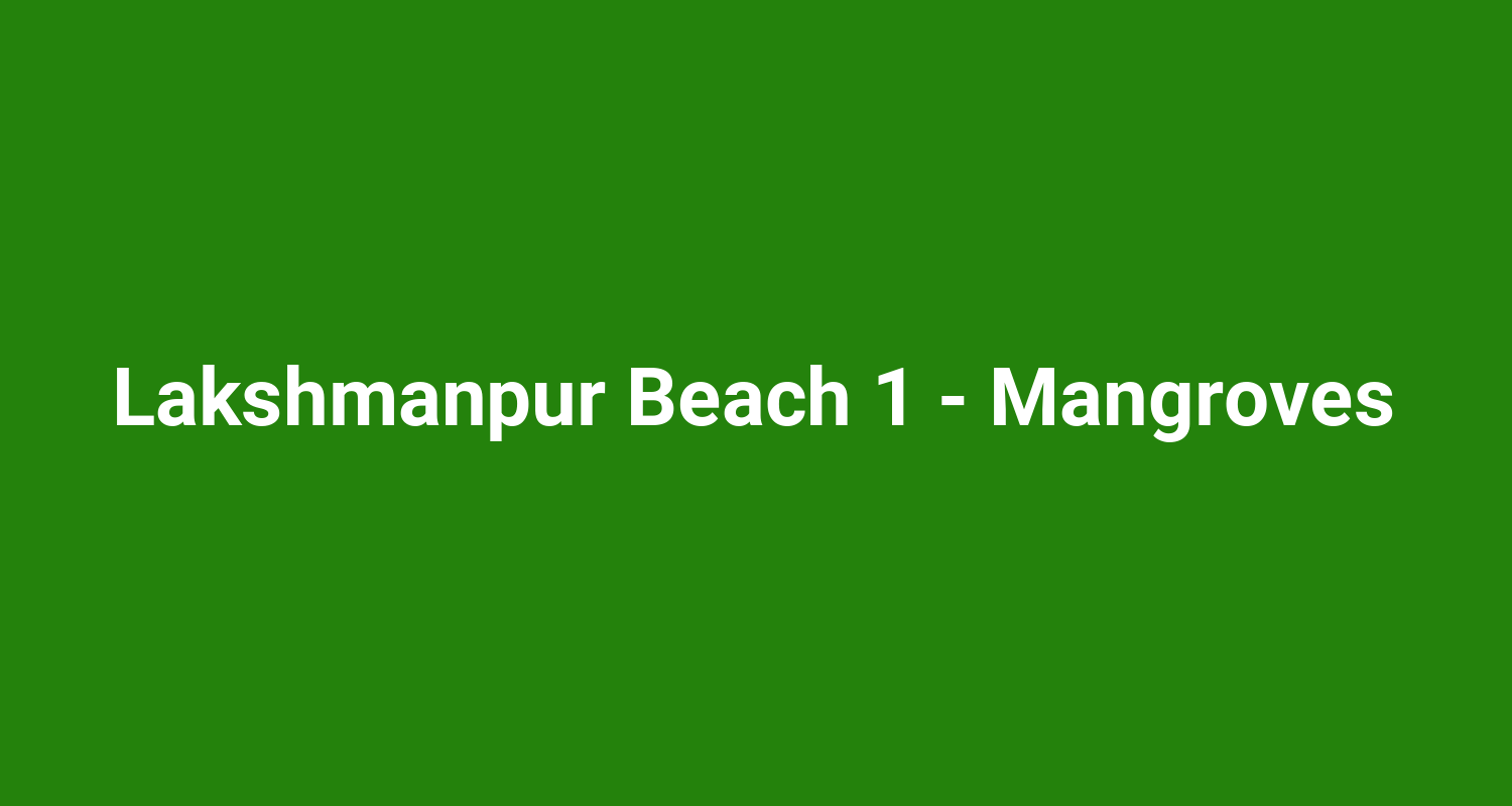 Lakshmanpur Beach 1  Mangroves