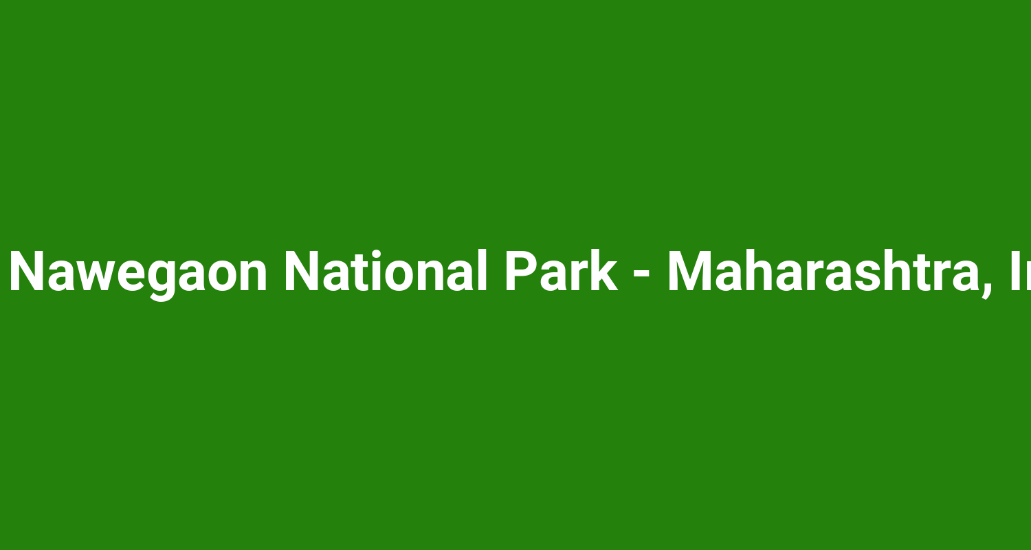 The Nawegaon National Park  Maharashtra India