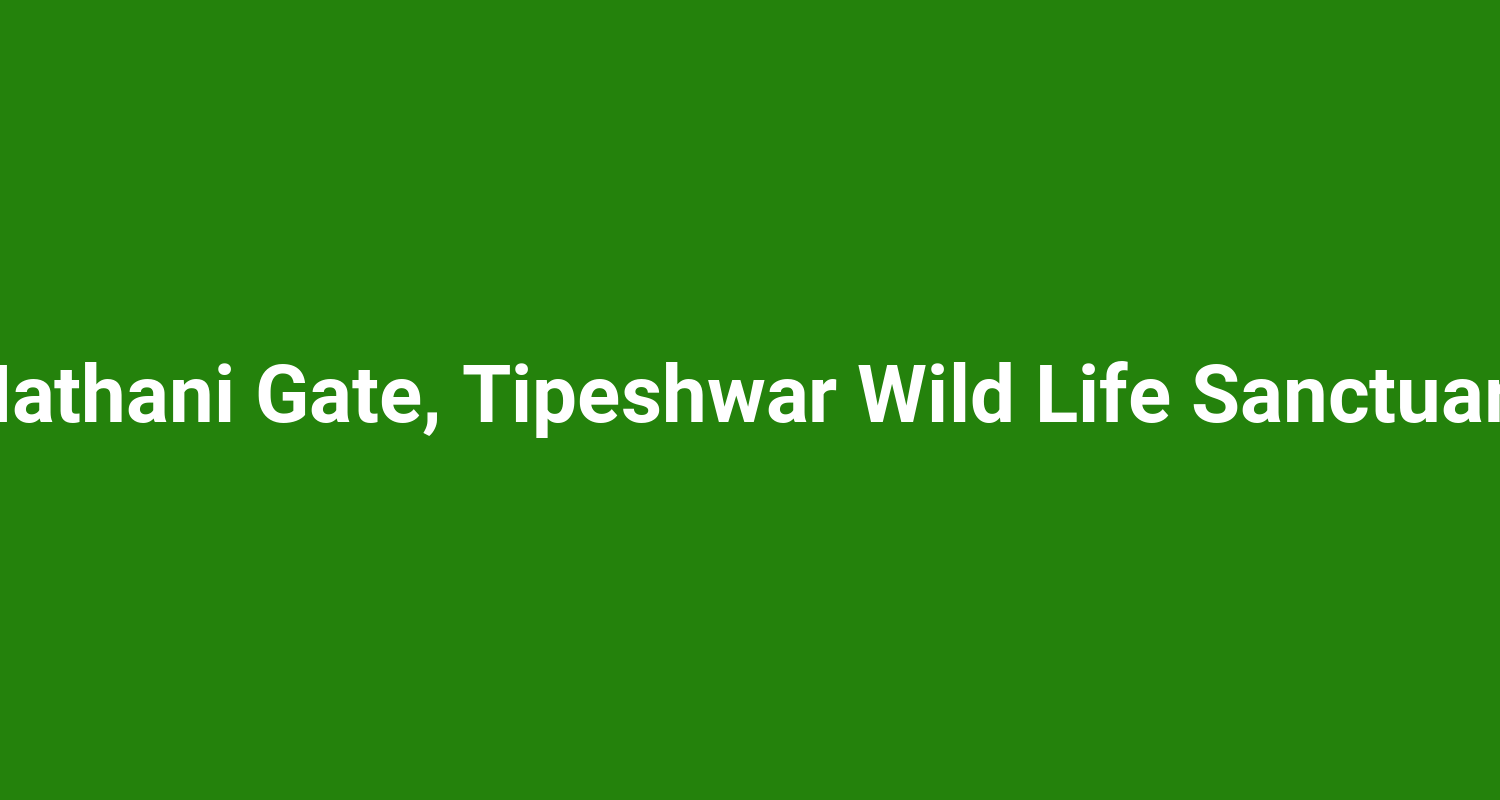Mathani Gate Tipeshwar Wild Life Sanctuary