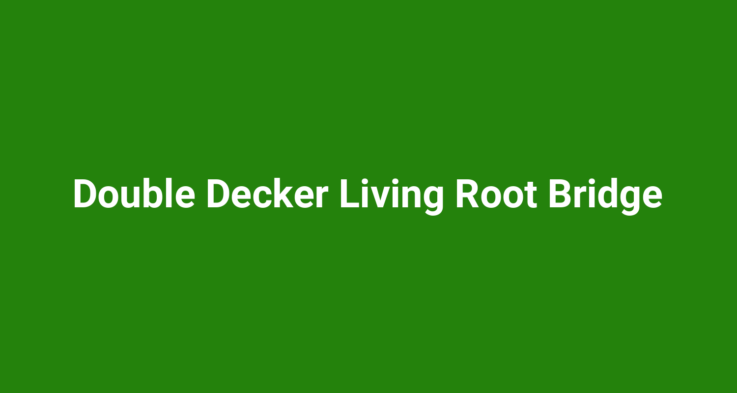 Double Decker Living Root Bridge