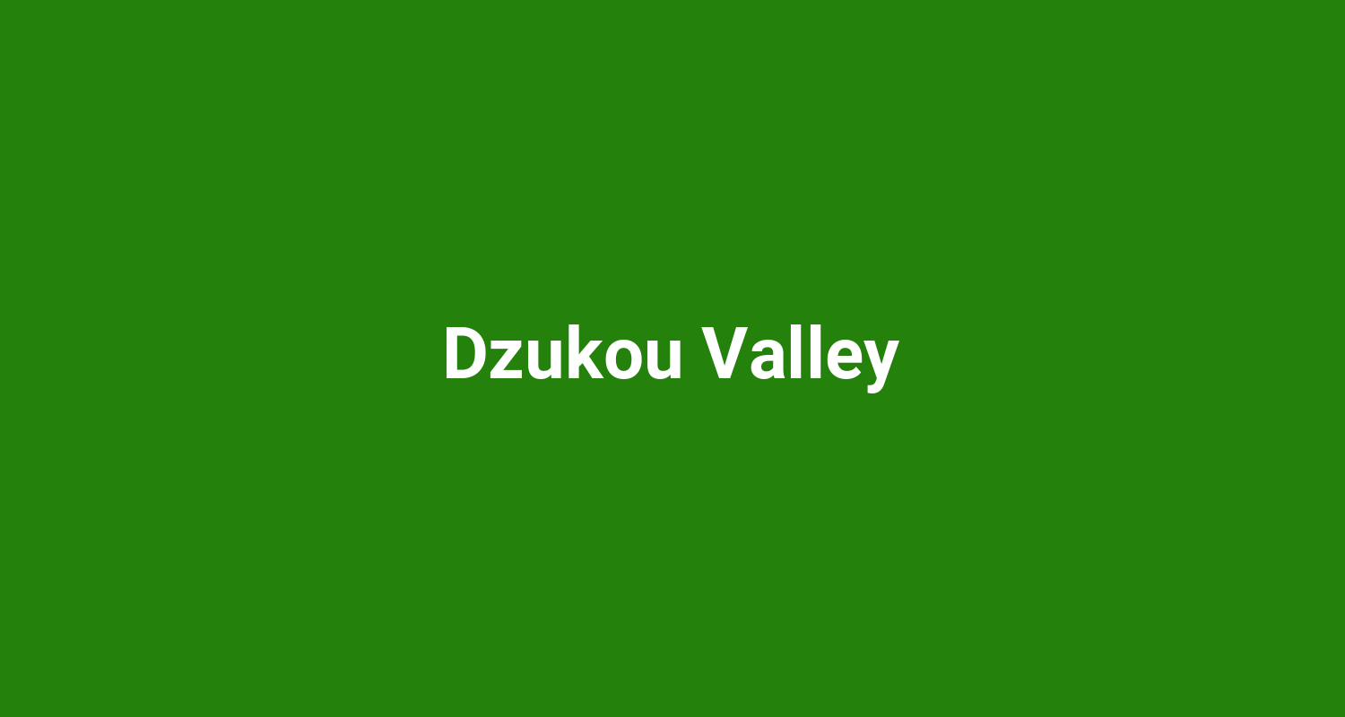 Dzukou Valley