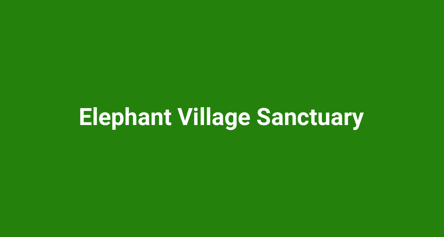 Elephant Village Sanctuary