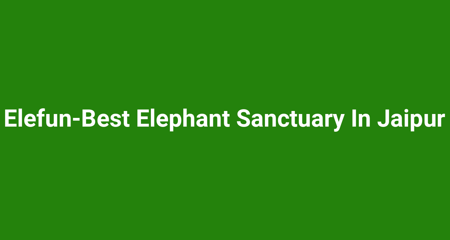 ElefunBest Elephant Sanctuary In Jaipur