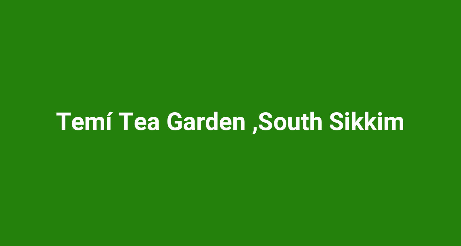 Tem Tea Garden South Sikkim