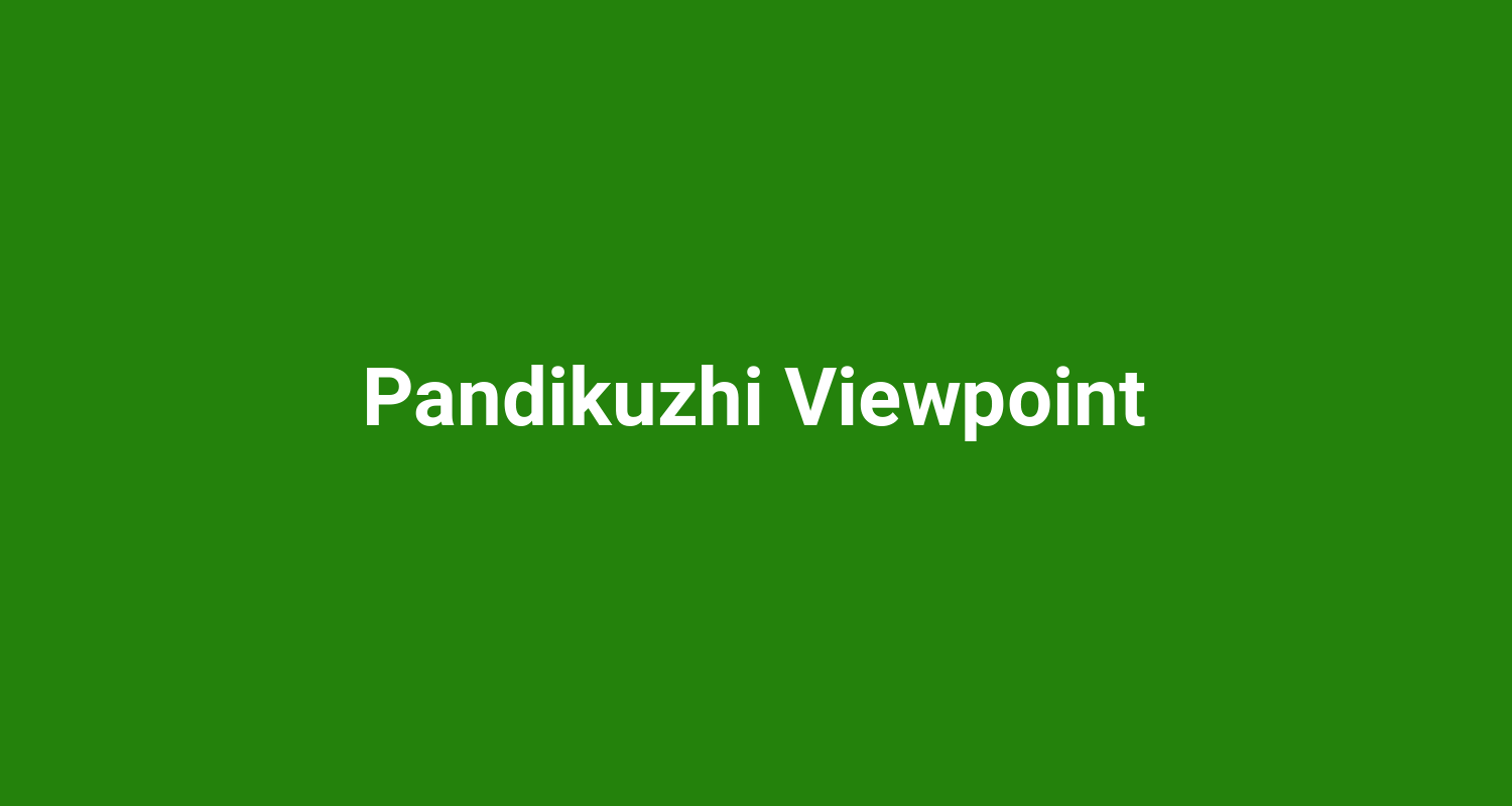 Pandikuzhi Viewpoint