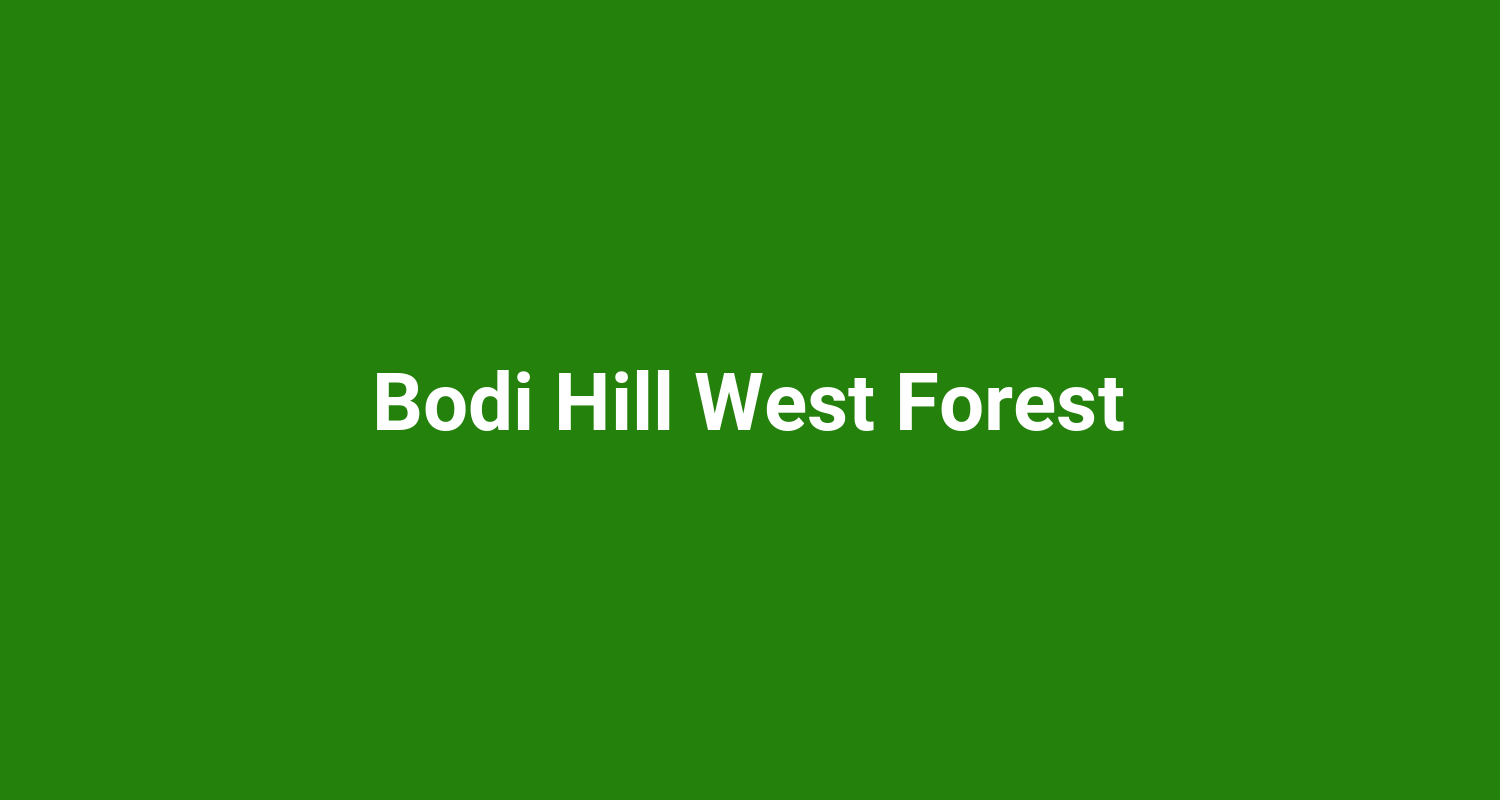Bodi Hill West Forest