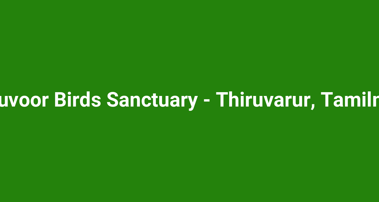 Vaduvoor Birds Sanctuary  Thiruvarur Tamilnadu