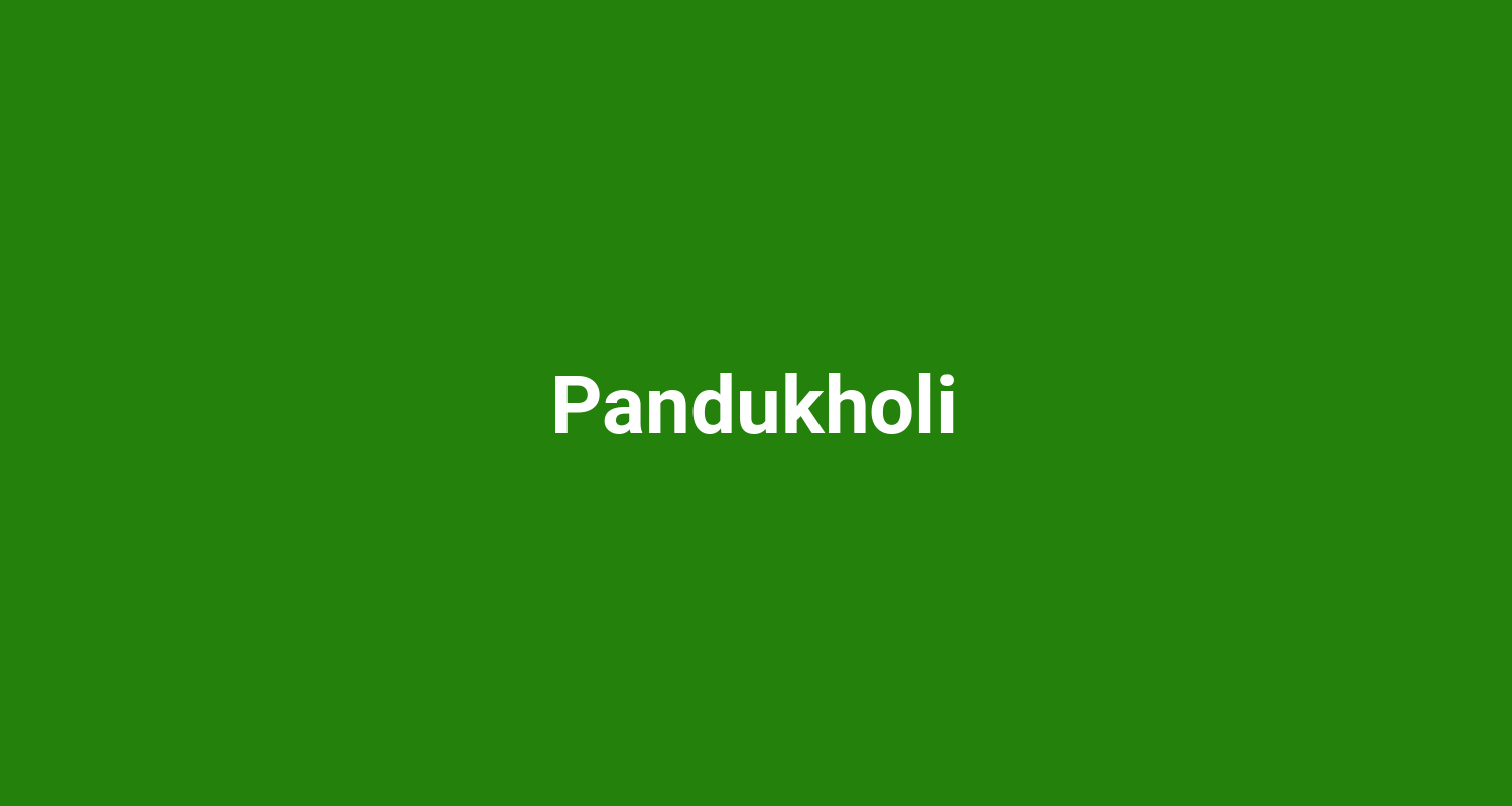 Pandukholi