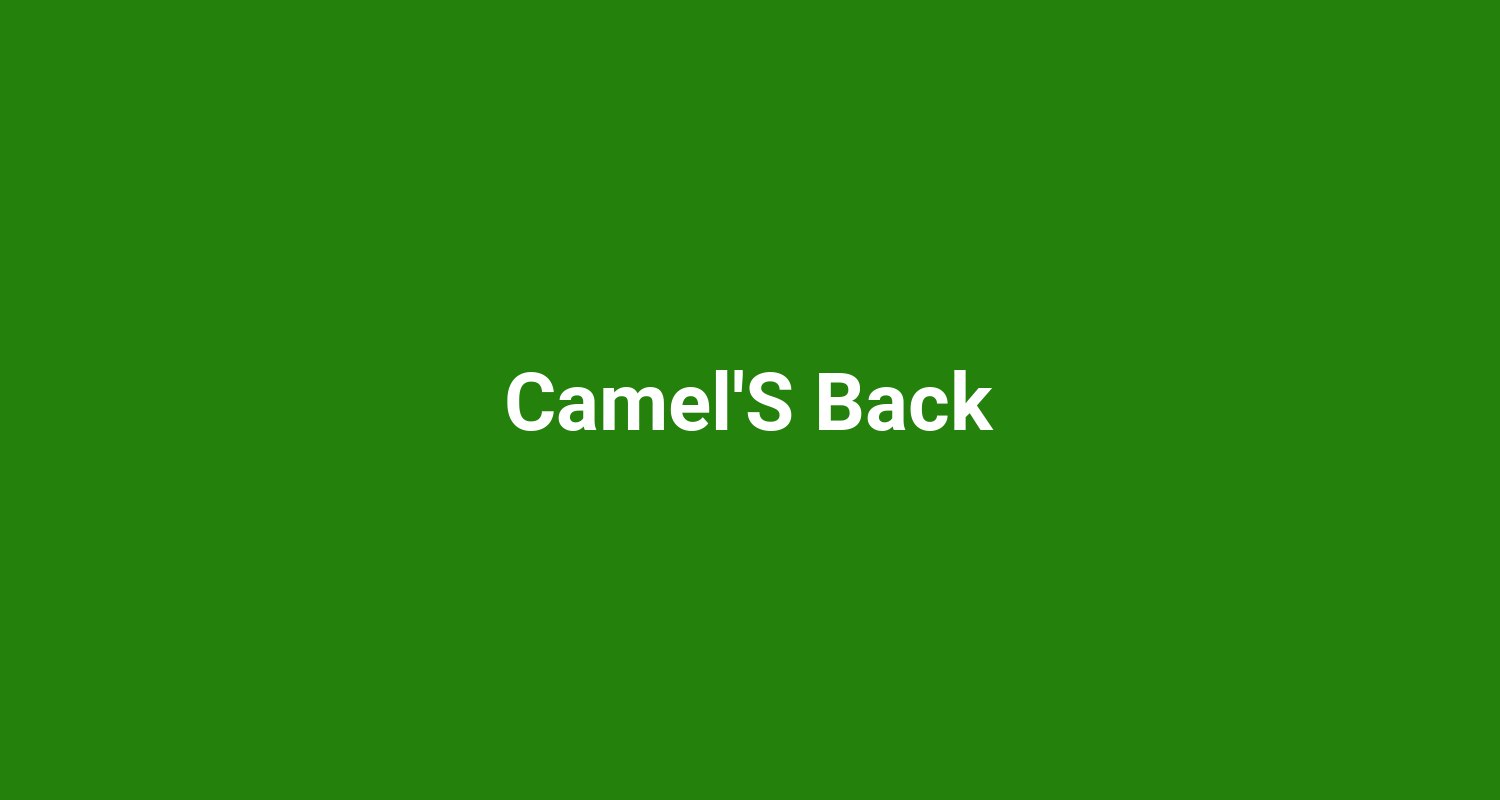 CamelS Back