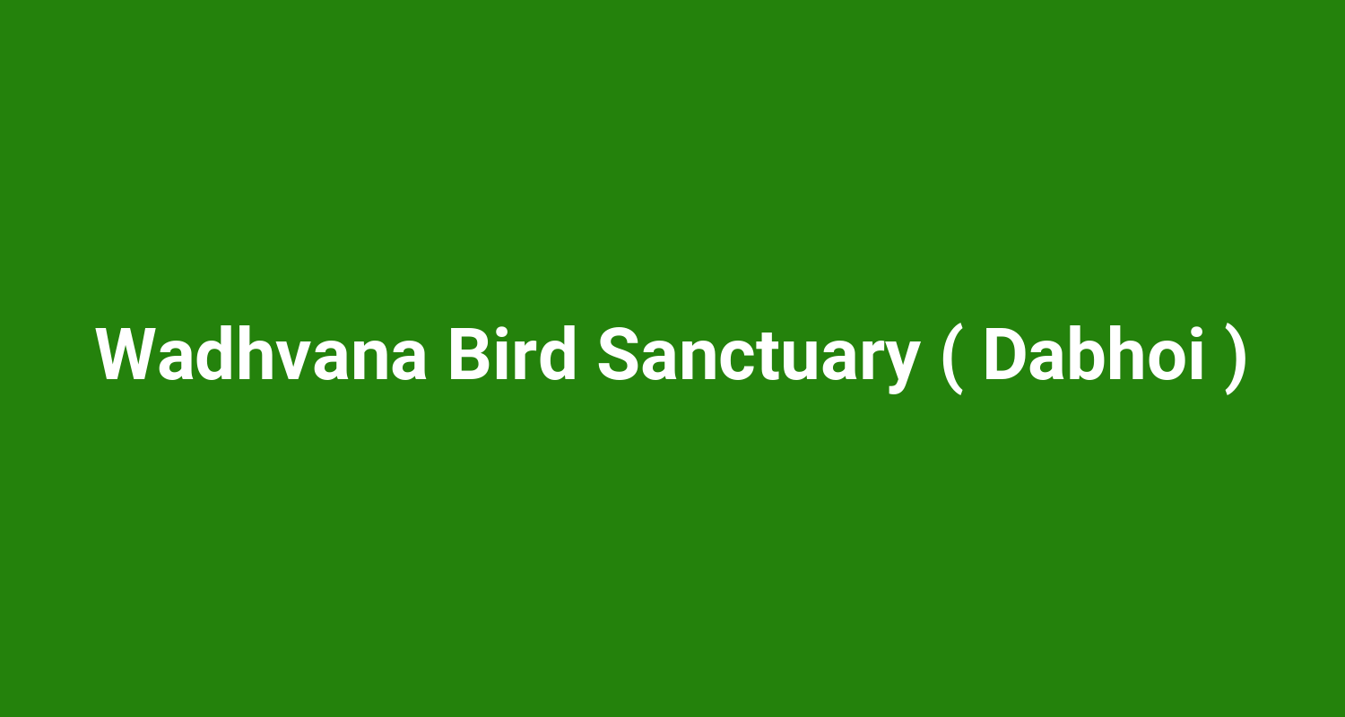 Wadhvana Bird Sanctuary ( Dabhoi )