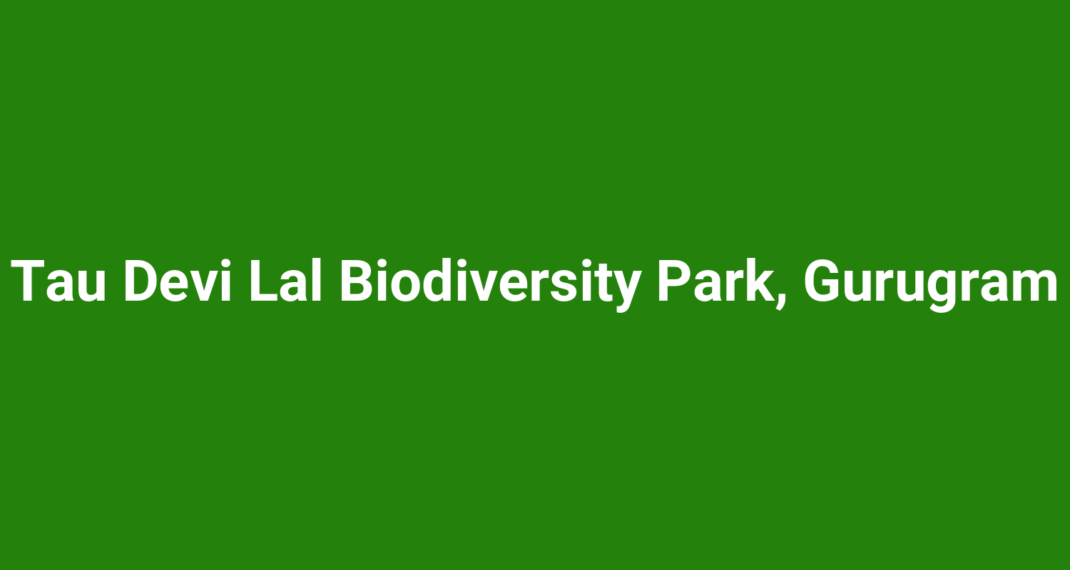Tau Devi Lal Biodiversity Park, Gurugram