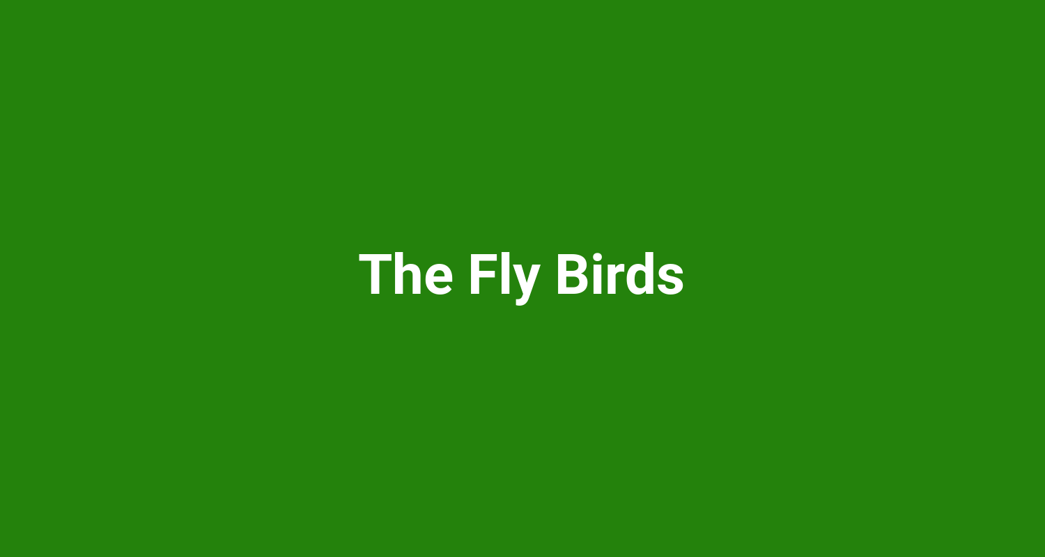 The Fly Birds