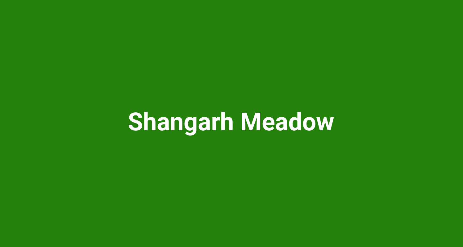 Shangarh Meadow