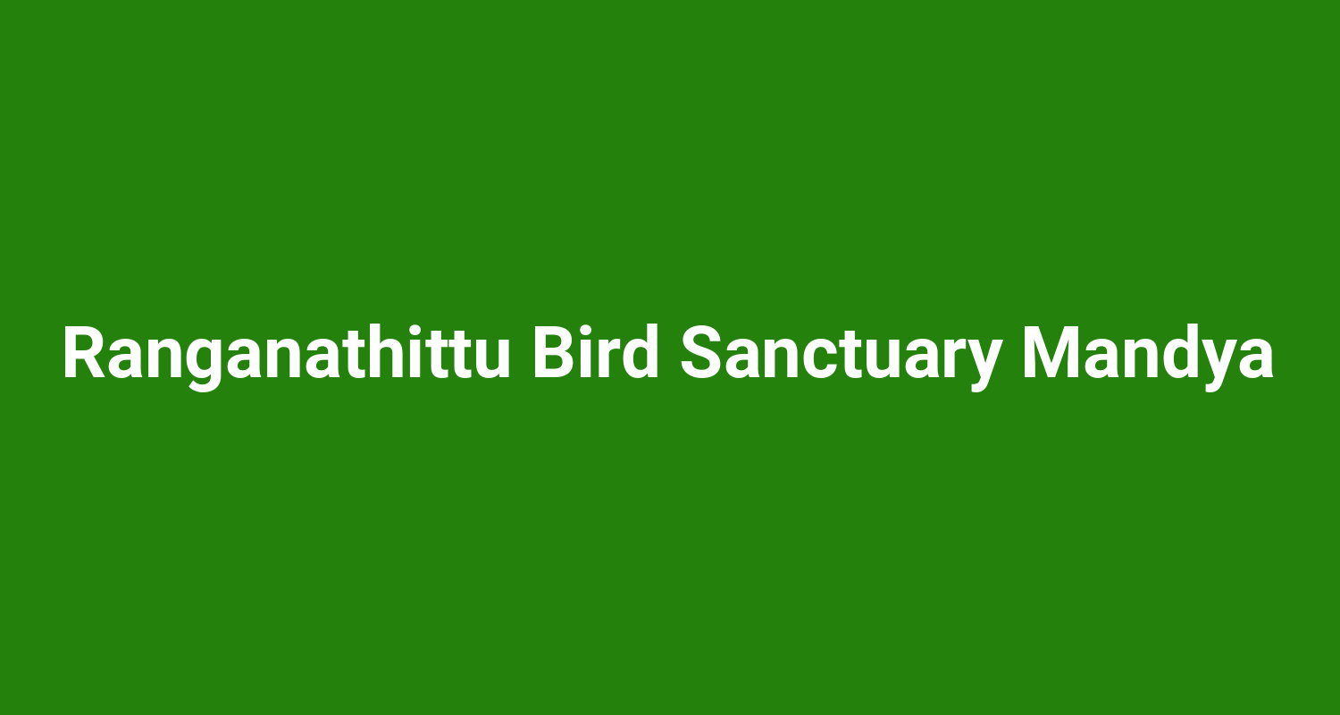 Ranganathittu Bird Sanctuary Mandya