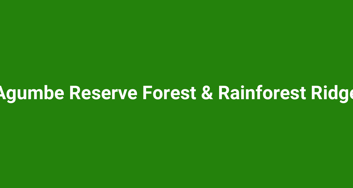 Agumbe Reserve Forest & Rainforest Ridge