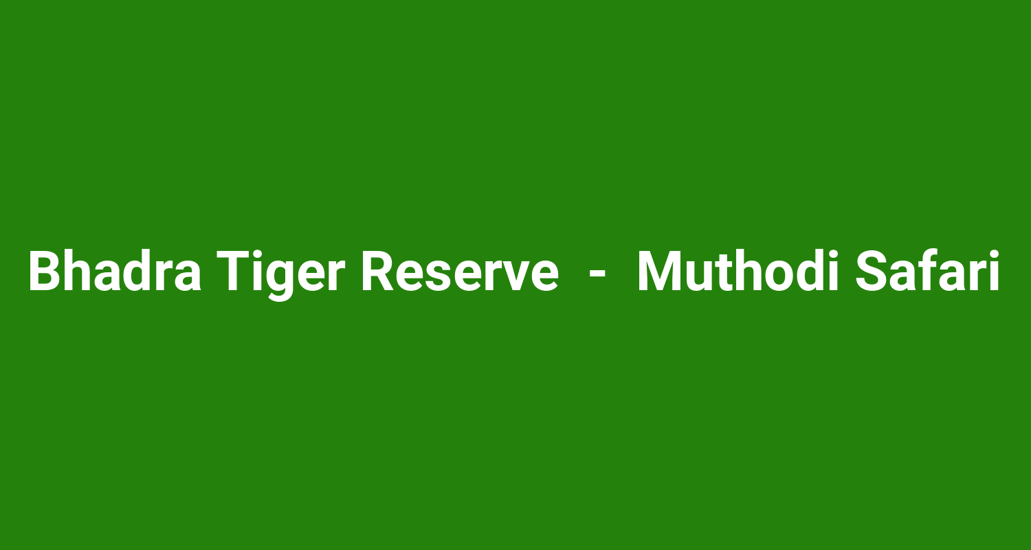 Bhadra Tiger Reserve  -  Muthodi Safari