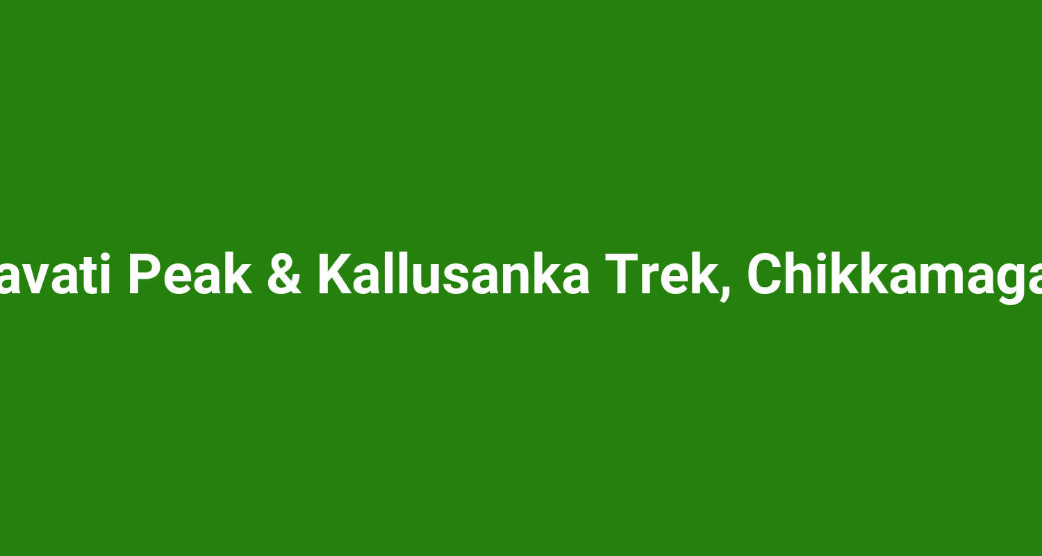 Netravati Peak & Kallusanka Trek, Chikkamagaluru