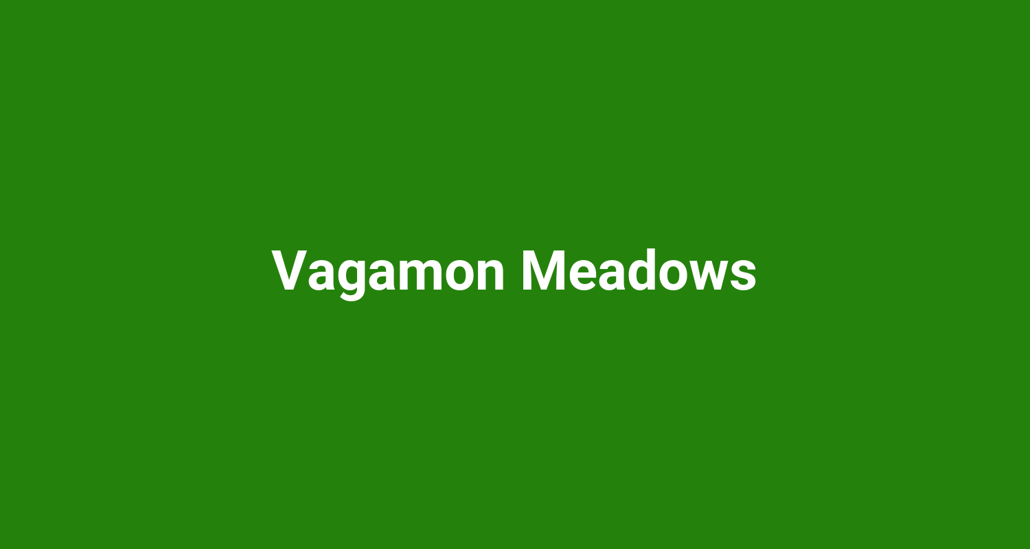 Vagamon Meadows