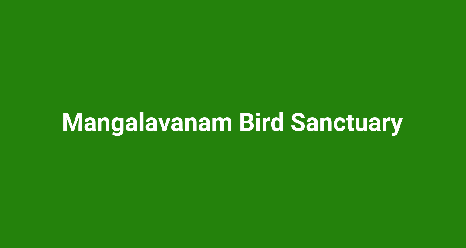 Mangalavanam Bird Sanctuary