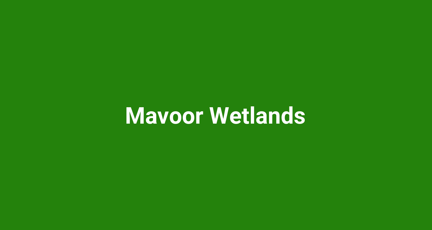 Mavoor Wetlands