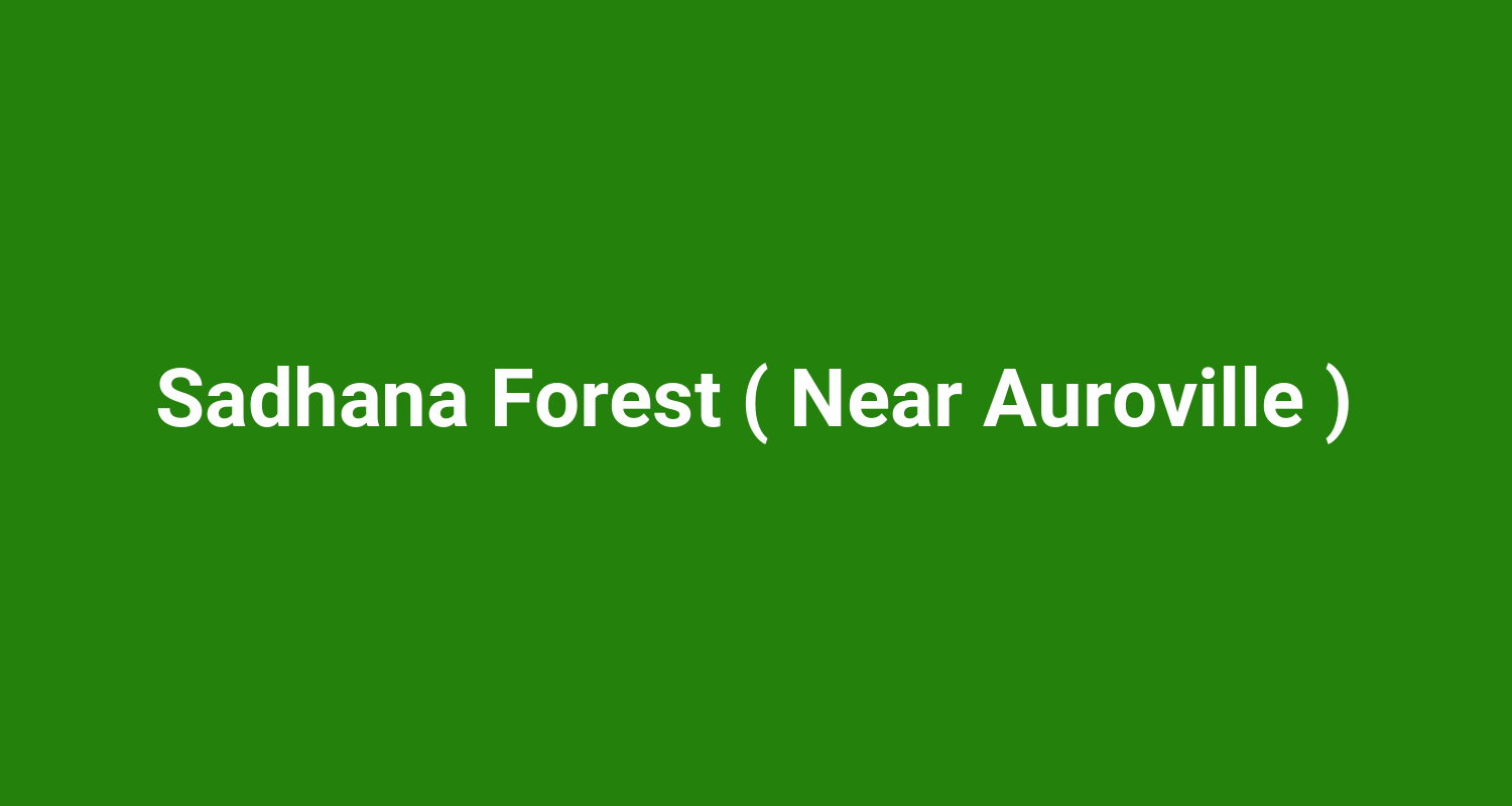 Sadhana Forest ( Near Auroville )