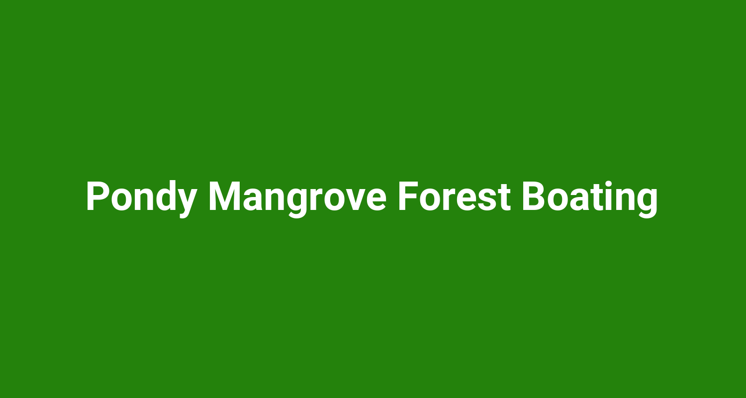 Pondy Mangrove Forest Boating