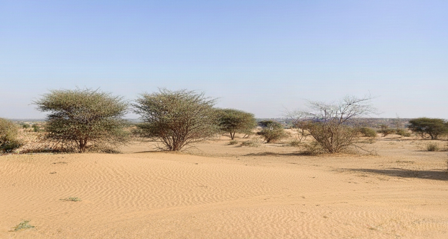 Jk Desert Safari Osian