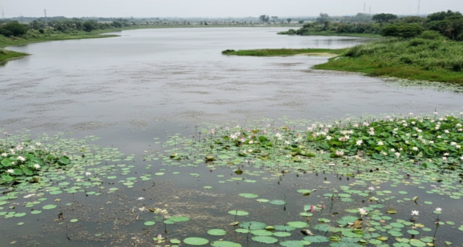 Yamuna Biodiversity Park