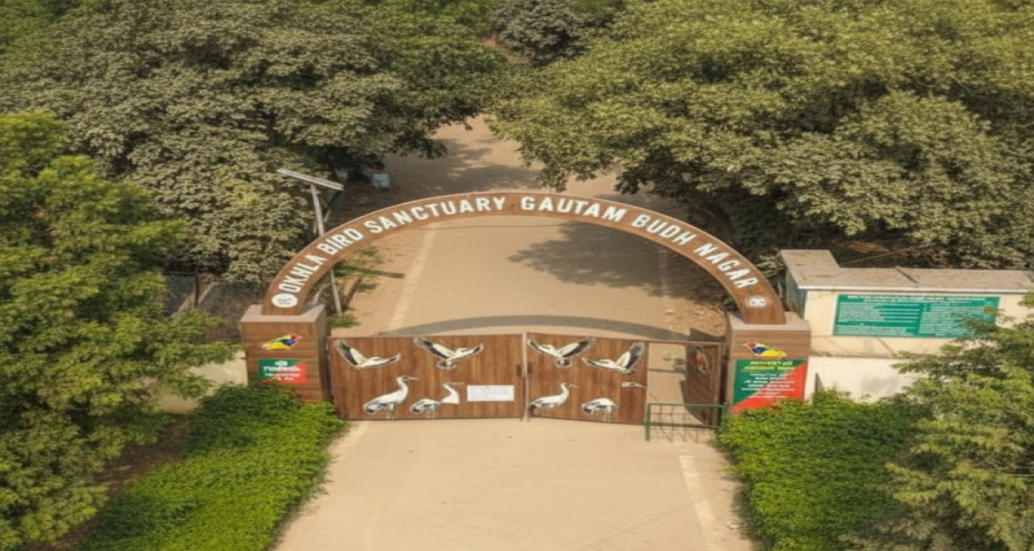 Okhla Bird Sanctuary