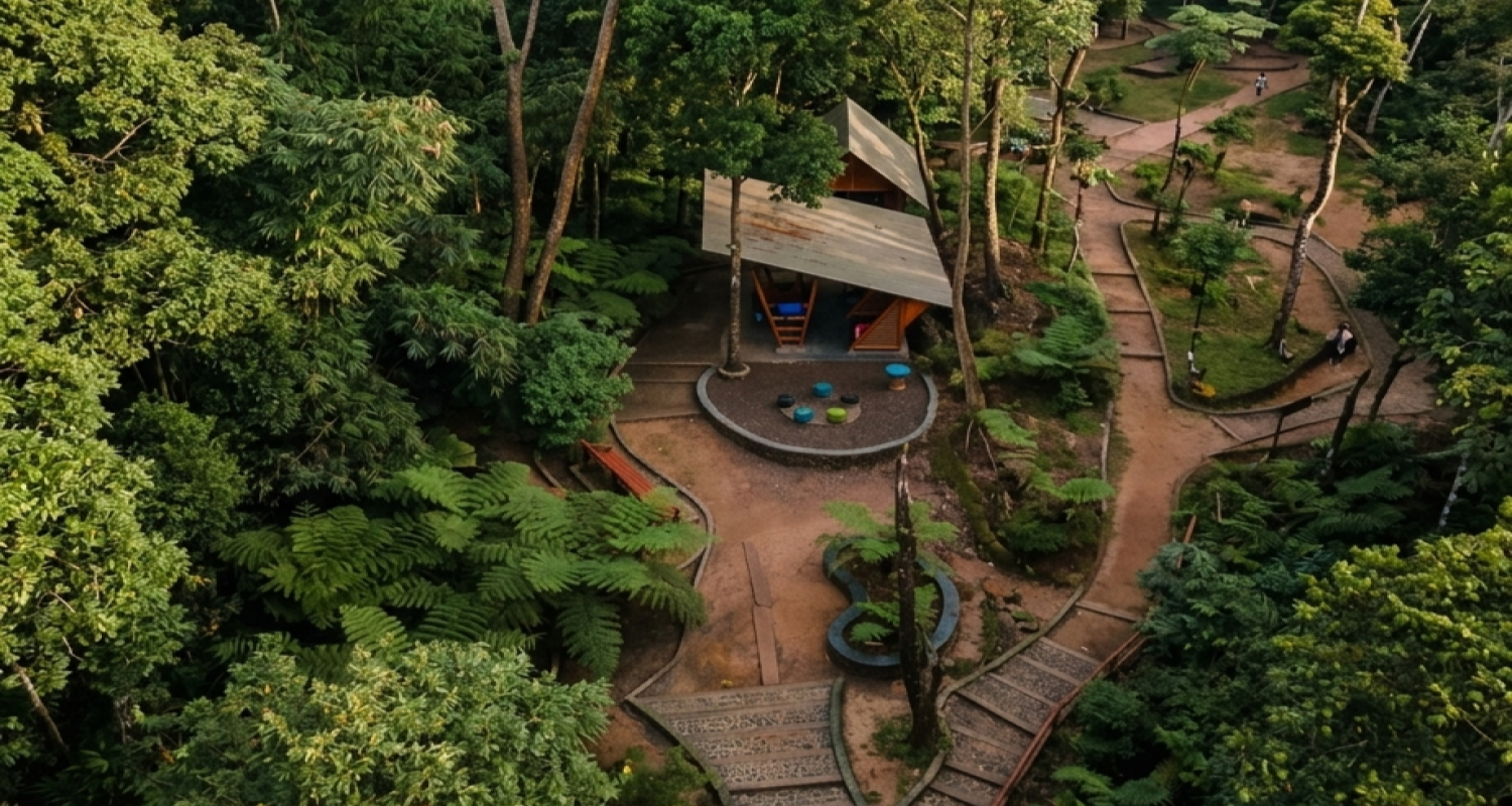 Pp Park