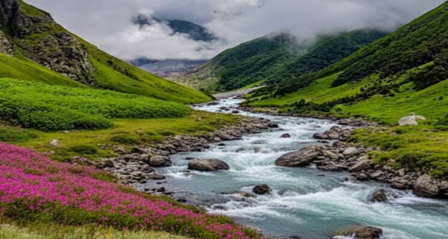 Valley Of Flowers National Park