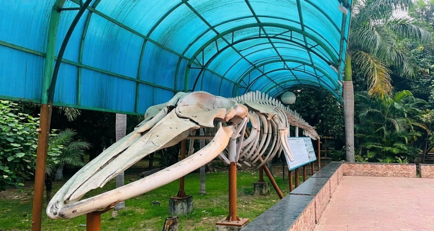 Marine Aquarium  Regional Centre