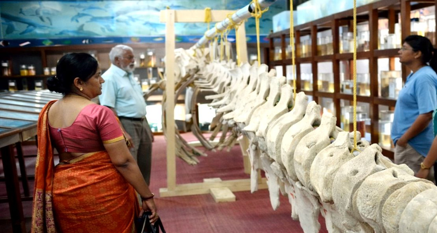 Marine Aquarium And Museum