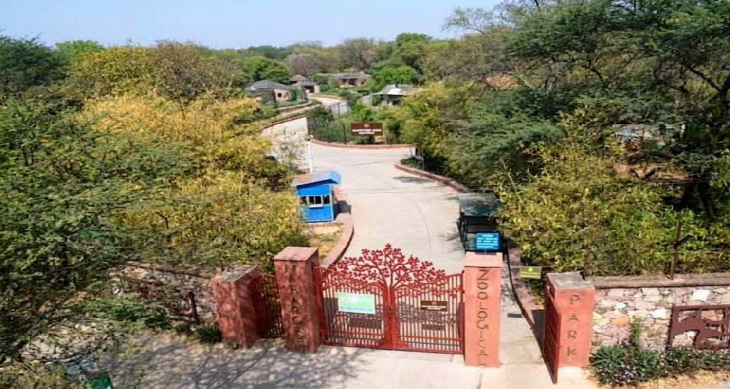 Nahargarh Biological Park