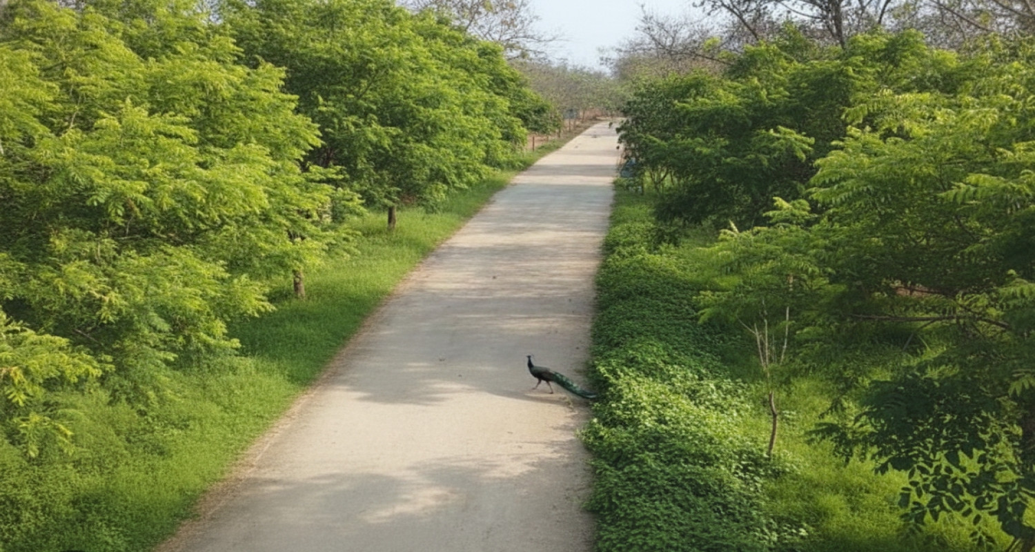 Kasu Brahmanandha Reddy National Park Kbr