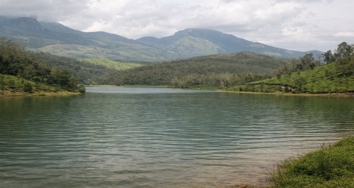 Yelagiri Forest Hill