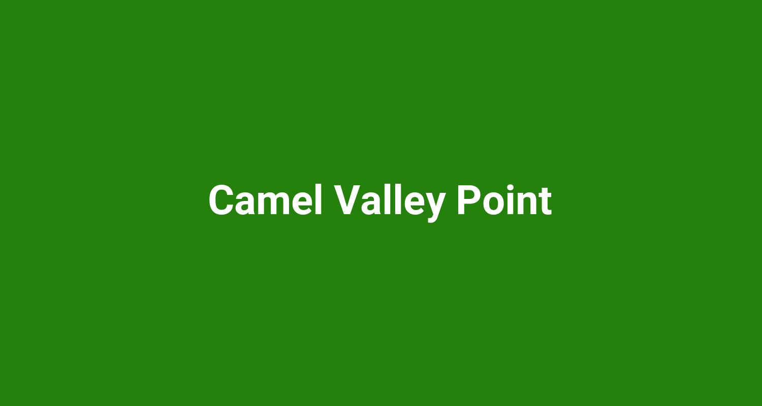 Camel Valley Point