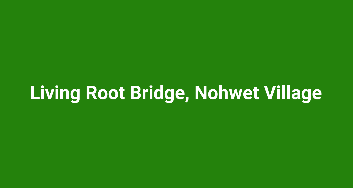 Living Root Bridge Nohwet Village