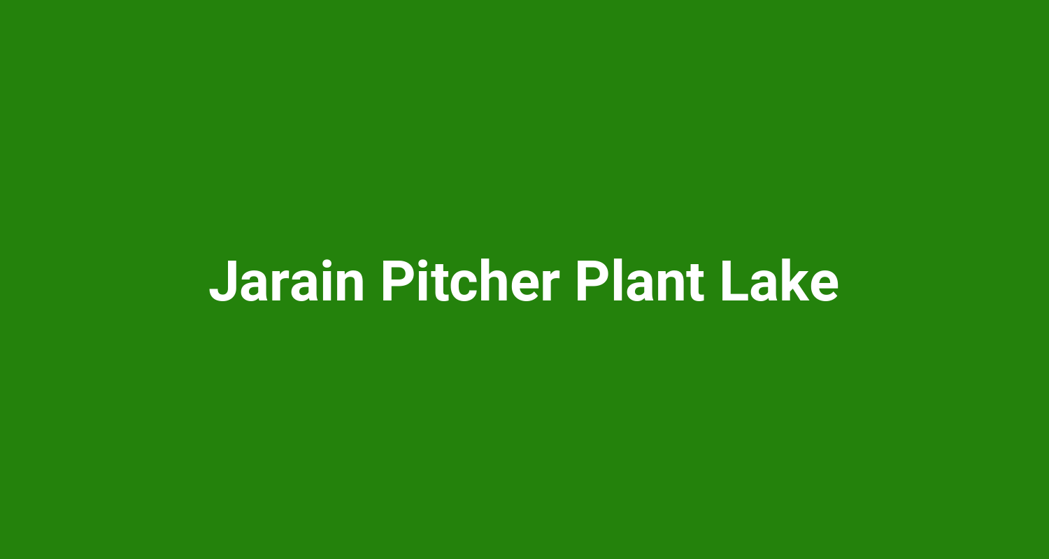Jarain Pitcher Plant Lake