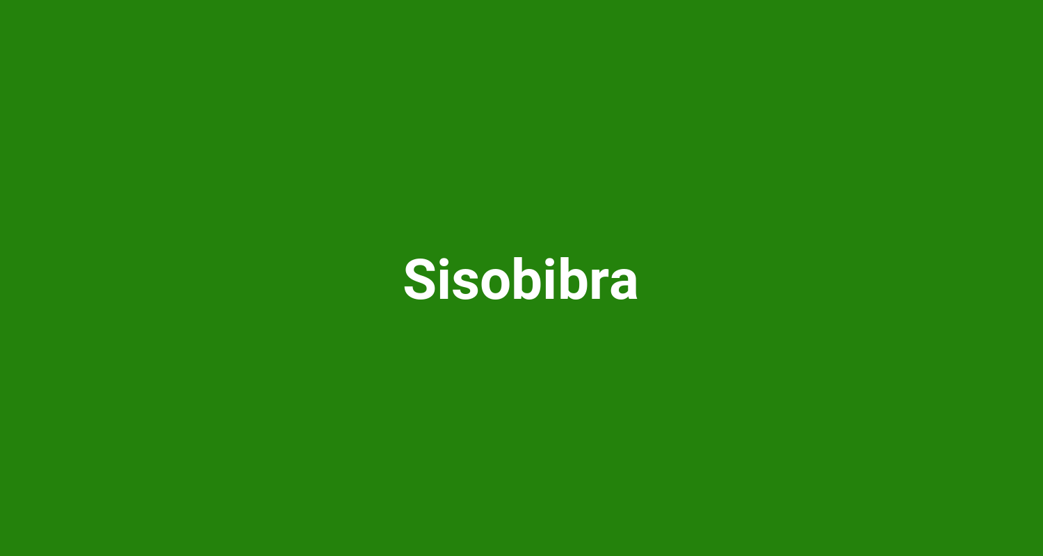 Sisobibra