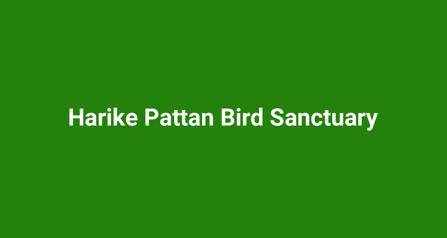 Harike Pattan Bird Sanctuary