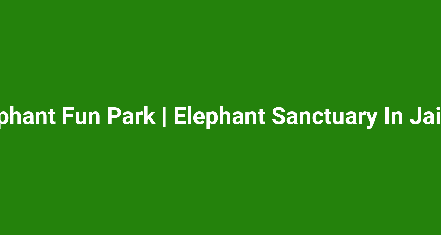 Elephant Fun Park  Elephant Sanctuary In Jaipur