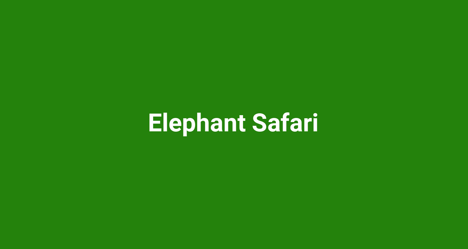 Elephant Safari