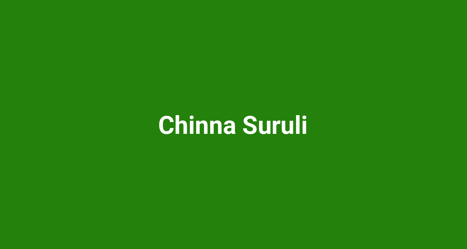 Chinna Suruli