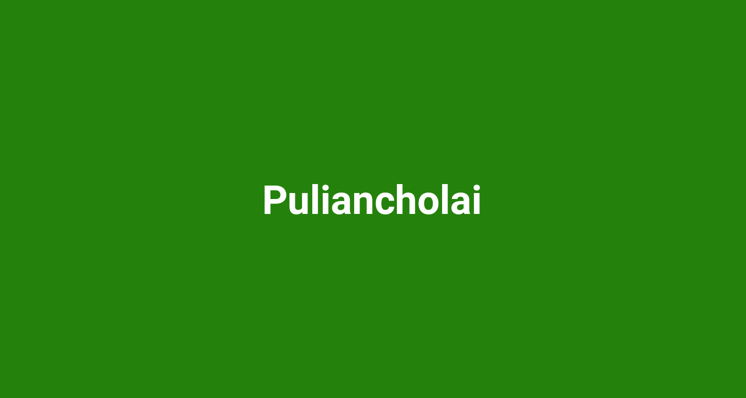 Puliancholai