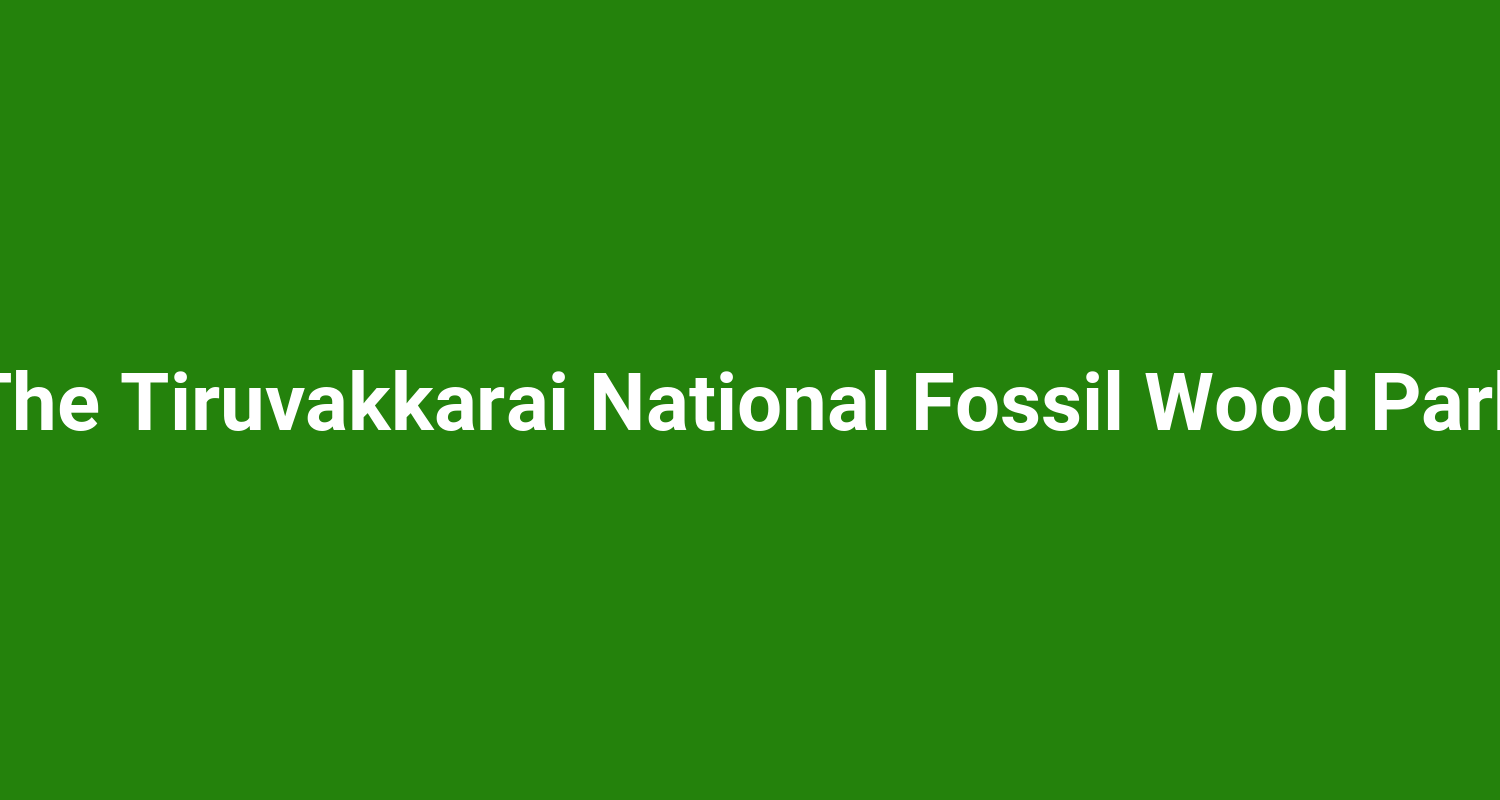 The Tiruvakkarai National Fossil Wood Park
