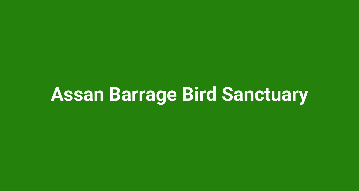 Assan Barrage Bird Sanctuary