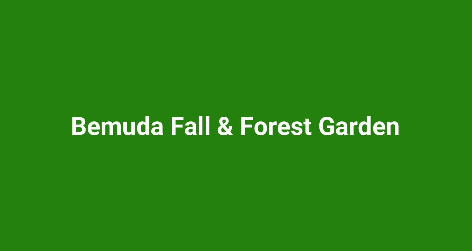 Bemuda Fall  Forest Garden